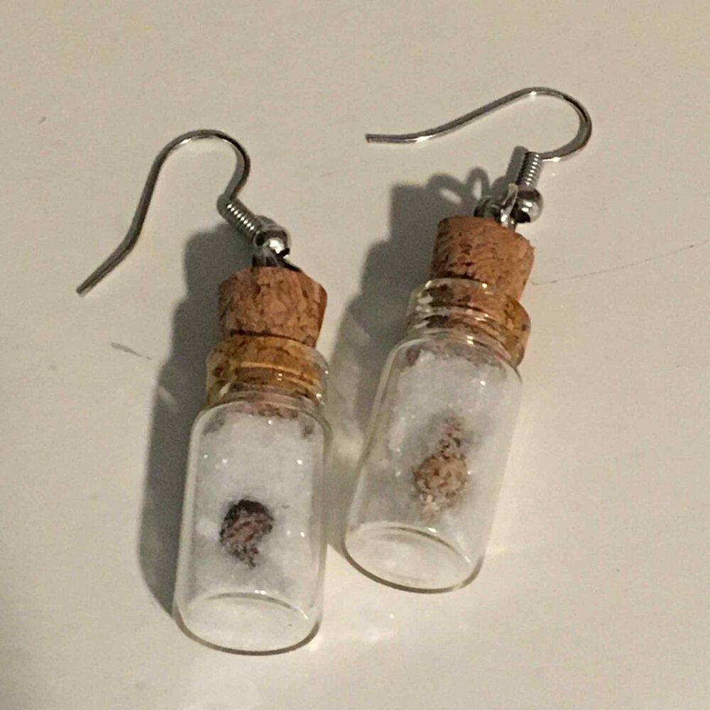 🌊 Mini Seashell Bottle Earrings – Beach-Inspired Ocean Jewelry 🌊